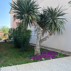 In Apartman